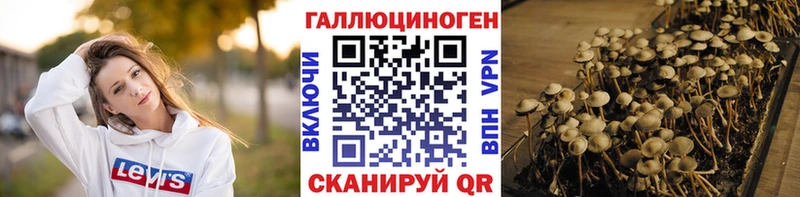 Галлюциногенные грибы ЛСД  купить наркоту  Бабушкин 